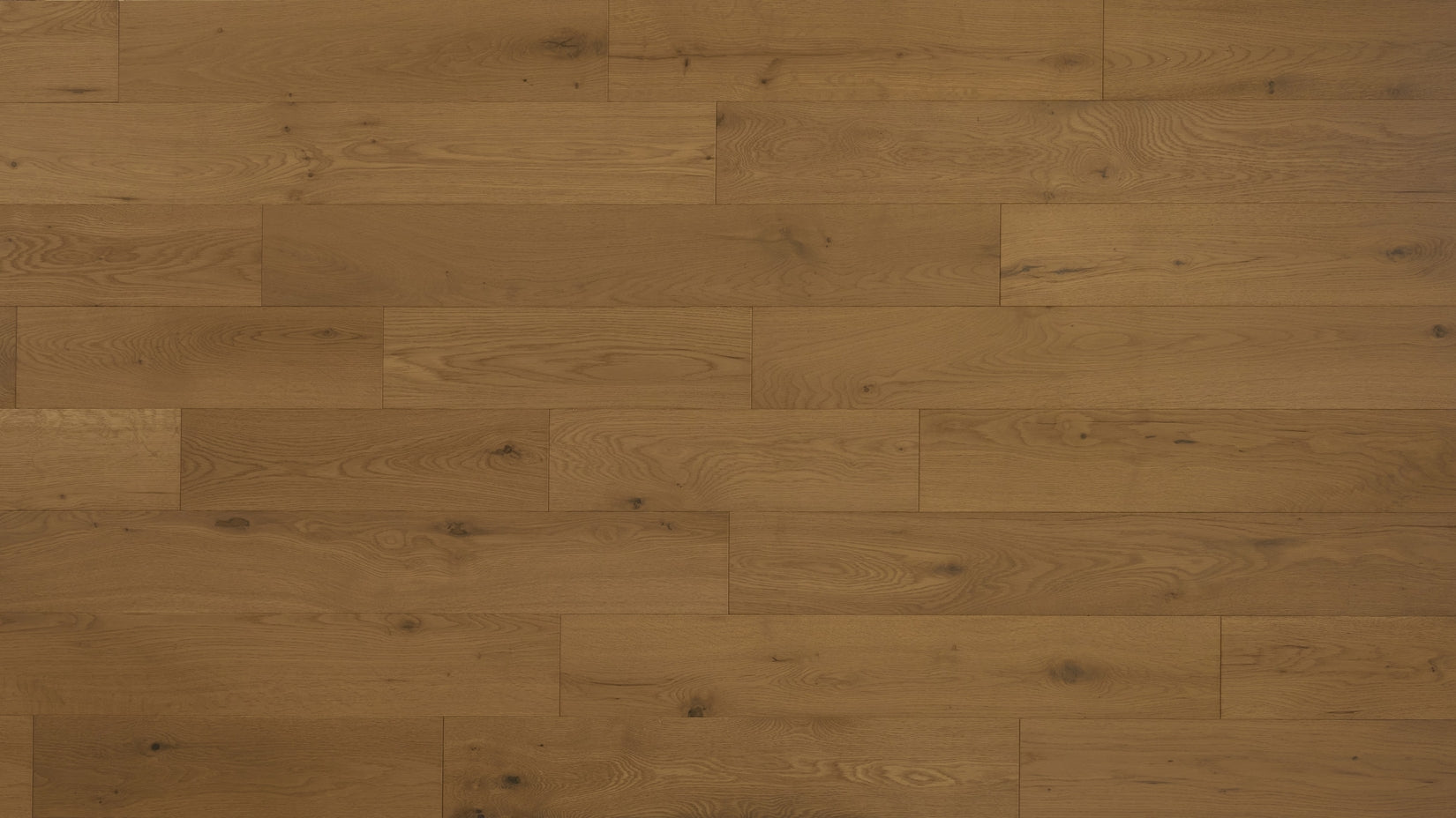 Grandeur Evergreen Elm