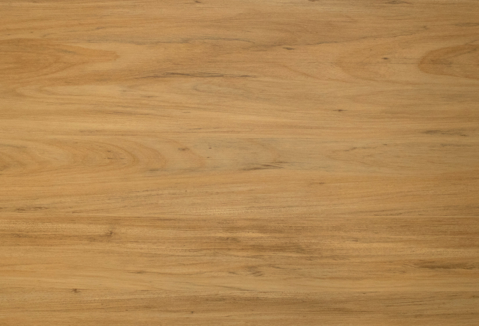 Grandeur Timeless Acacia