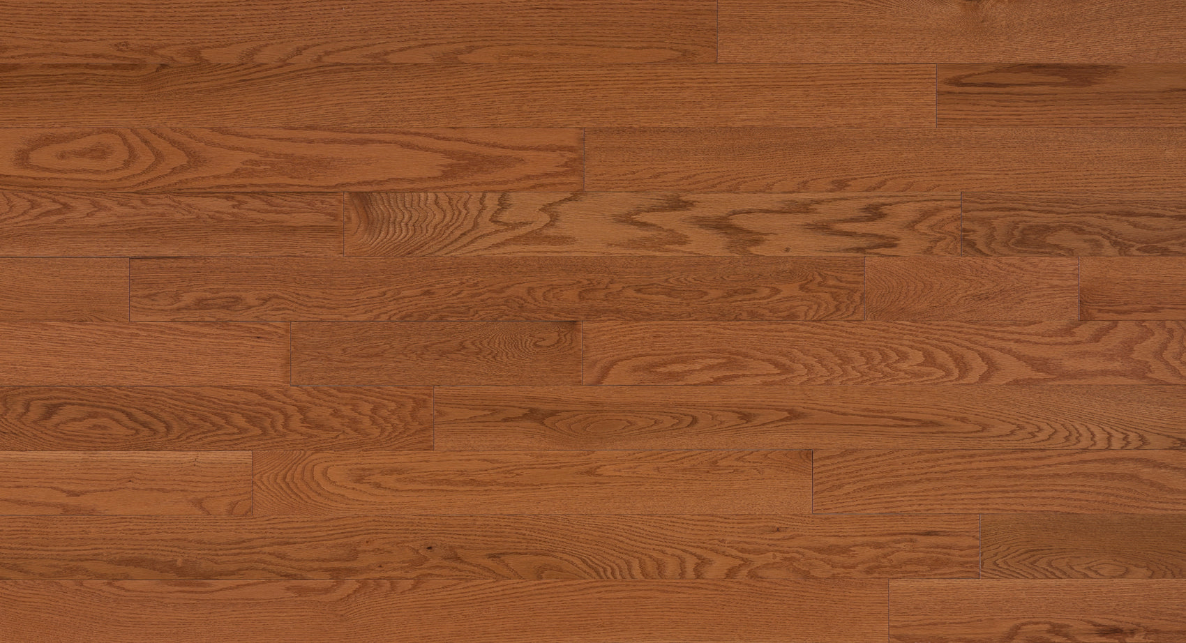 Dubeau - Nuance - Butterscotch - Plancher de bois d'ingénierie en chêne rouge