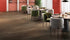 Grandeur 12 Collection Kalas Noz
