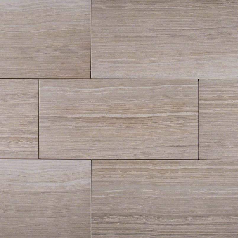 MSI Surfaces - Tuiles de céramique - Eramosa Silver Mat 12" x 24" ||NERASIL1224