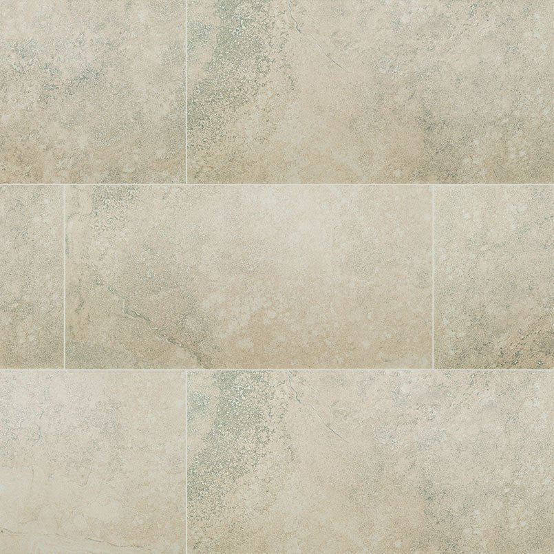 MSI Surfaces - Tuiles de céramique - Legend Grey Mat 12" x 24" ||NLEGGREY1224
