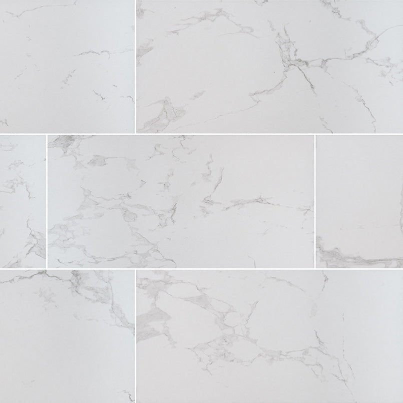 MSI Surfaces - Tuiles de céramique - Praia Carrara Mat 12" x 24" ||NPRACAR1224-N