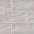 MSI Surfaces - Tuiles de céramique - Praia Grey Bordure Poli 3" x 24" ||NPRAGRE3X24BNP - Ceramed