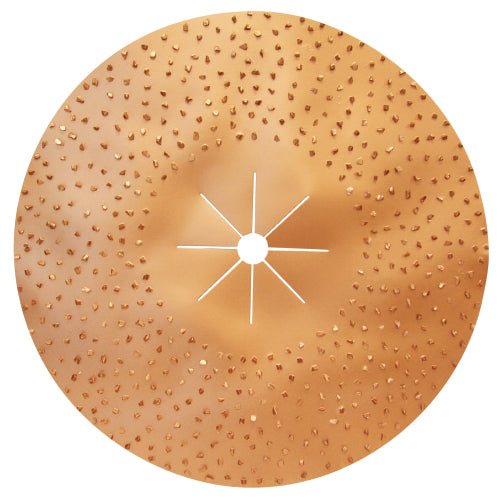 Pearl Abrasive - Disque de ponçage au carbure de tungstène à double face de 16 po