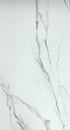 Plancher de vinyle Loose Lay Liberty Calacata / 18” x 36” x 5 mm - Ceramed