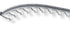 Progress Profiles - Moulure décorative pour bordure de céramique Proterminal Curved aluminium naturel (20 mm) 25/32" x 8' 10-5/16"