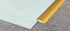 Progress Profiles - Profilé d'extrémité/raccord Prolinoleum auto-adhésif en aluminium argent adonisé 2.5 x 16 mm