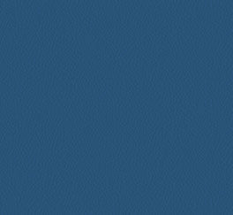 ProSolutions - Athletica Rouleau Royal Blue 5mm