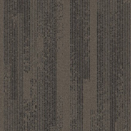 ProSolutions - Planche de tapis Nanaimo Harewood 9-27/32" x 39-3/8" - 5.98 v² par boite