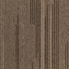 ProSolutions - Rouleau de tapis Prospective Cameo 79-1/4" (Vendu en vg²)