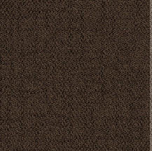 ProSolutions - Planche de tapis Solon Écorce 9-27/32" x 39-3/8" - 5.98 v² par boite