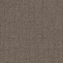ProSolutions - Planche de tapis Solon Greige 9-27/32" x 39-3/8" - 5.98 v² par boite
