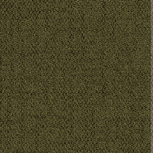 ProSolutions - Planche de tapis Solon Lichen 9-27/32" x 39-3/8" - 5.98 v² par boite