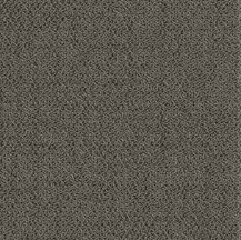 ProSolutions - Planche de tapis Solon Substrat Rocheux 9-27/32" x 39-3/8" - 5.98 v² par boite