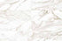 Anatolia - Tuiles murales Raffino Calacatta Dolce Mat 12" x 36" (vendu au pi²)