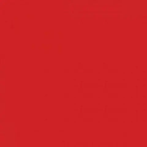 Centura - RAINBOW - Carreau de céramique - RED MAT 4 po x 16 po x 8 mm