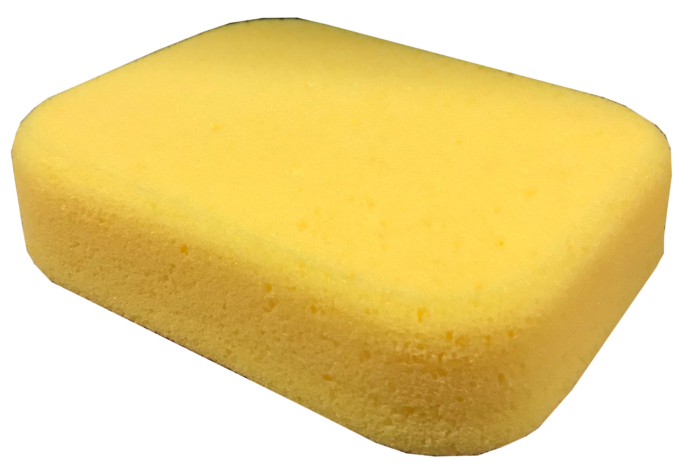 ProSolutions - Éponge à Coulis