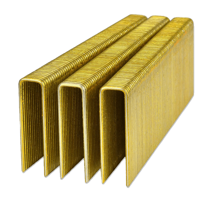Shur-Fast - Agrafes de calibre 16, 1 1/4" x 7/16" (paquet de 10000) ||S16-040P - Ceramed