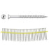 Simpson Strong Tie - Vis à terrasse 10 3" (paquet de 1000) ||SS3DSC3BS - Ceramed