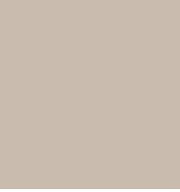 Tarkett - Contre-Marche Vinyle 0.080- 7 X 48 #31