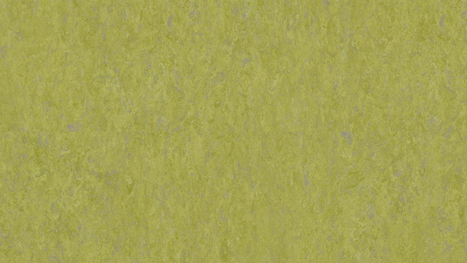 Tarkett - Feuille de linoléum LinoFloor xf¹ Veneto #695 Absinthe 6-9/16' - 2.5 mm (vendu en vg²)