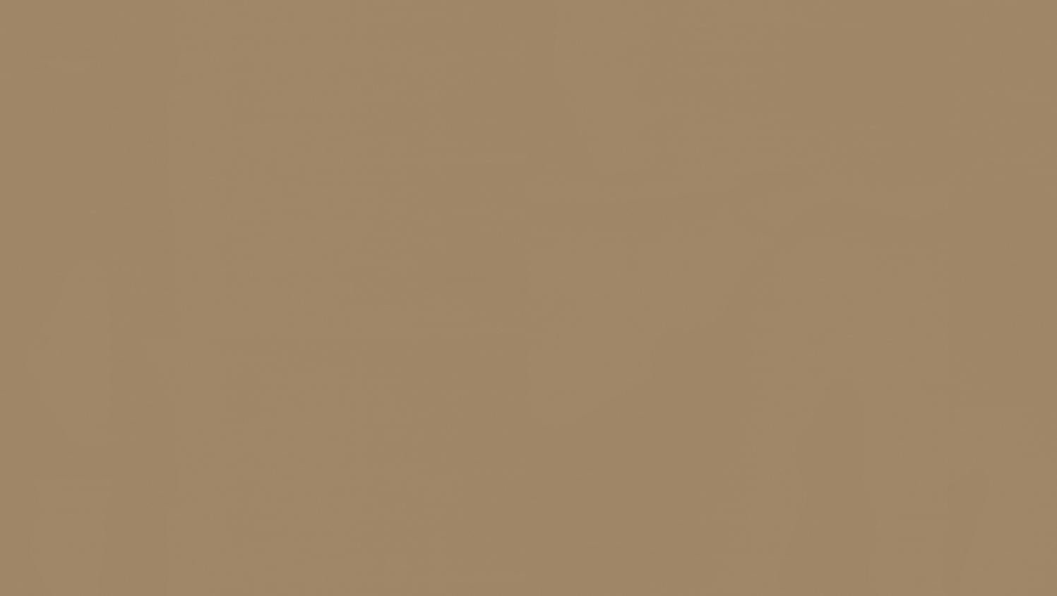 Tarkett - Feuille de linoléum LinoFloor xf² Etrusco #032 Kraft 6-9/16' - 2.5 mm (vendu en vg²)
