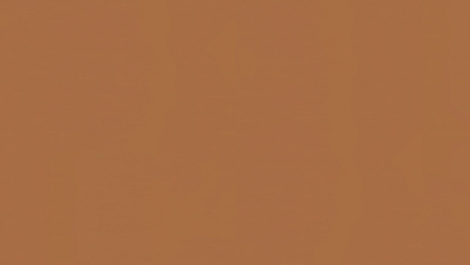 Tarkett - Feuille de linoléum LinoFloor xf² Etrusco #038 Ginger 6-9/16' - 2.5 mm (vendu en vg²)