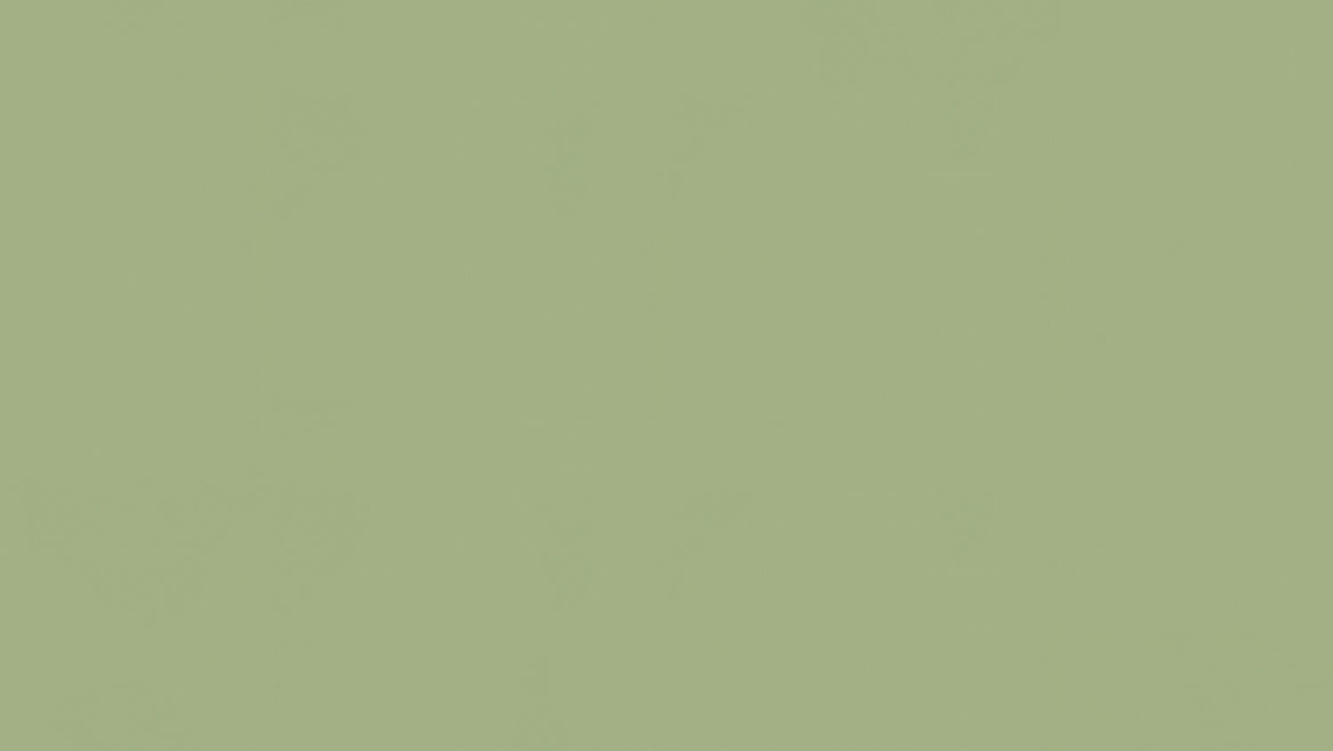 Tarkett - Feuille de linoléum LinoFloor xf² Etrusco #055 Olive 6-9/16' - 2.5 mm (vendu en vg²)