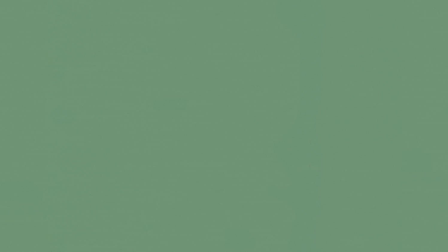 Tarkett - Feuille de linoléum LinoFloor xf² Etrusco #056 Basil 6-9/16' - 2.5 mm (vendu en vg²)