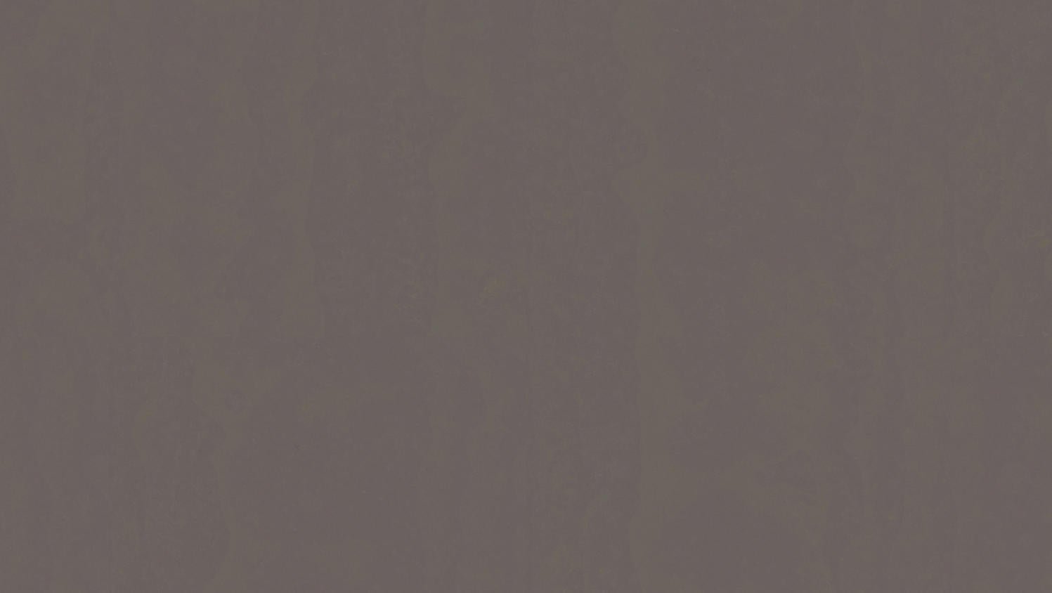 Tarkett - Feuille de linoléum LinoFloor xf² Originale #473 Pepper 6-9/16' - 2.5 mm (vendu en vg²)