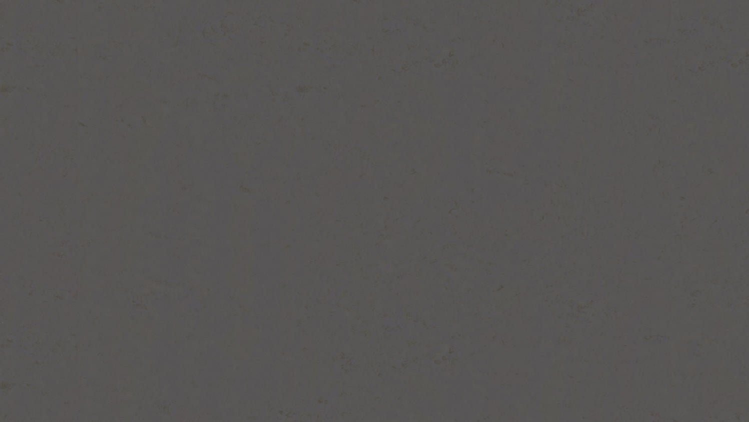 Tarkett - Feuille de linoléum LinoFloor xf² Originale #486 Granite 6-9/16' - 2.5 mm (vendu en vg²)