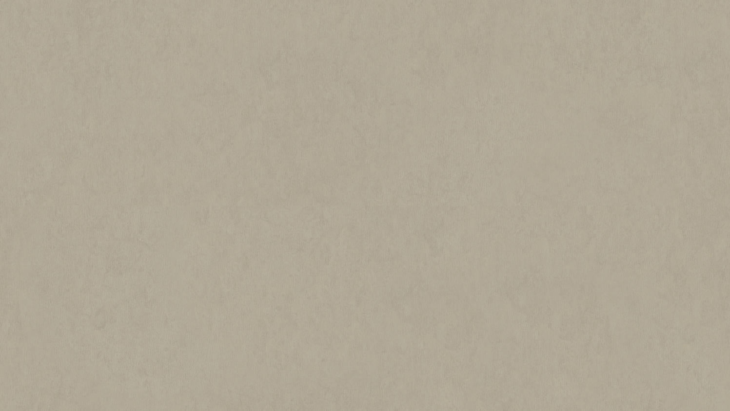 Tarkett - Feuille de linoléum LinoFloor xf² Style Emme #201 Cenere 6-9/16' - 2.5 mm (vendu en vg²)