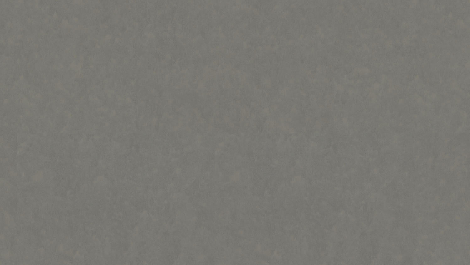 Tarkett - Feuille de linoléum LinoFloor xf² Style Emme #205 Ferro 6-9/16' - 2.5 mm (vendu en vg²)