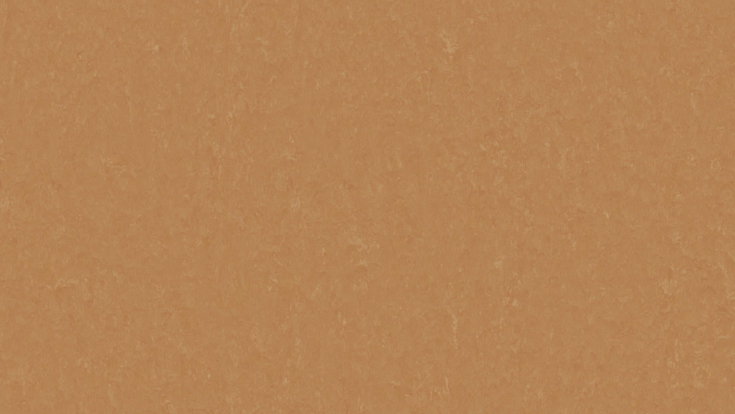 Tarkett - Feuille de linoléum LinoFloor xf² Style Emme #734 Fox 6-9/16' - 2.5 mm (vendu en vg²)