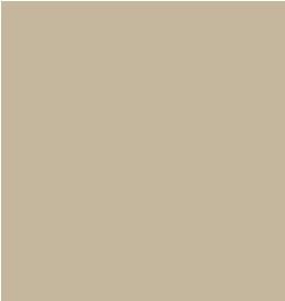 Tarkett - Giron Surface Diamant #09 Nez Rond 42"