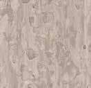 Tarkett - iQ Optima Acoust. Rouleau 3.15mm 209 ||21171209 - Ceramed