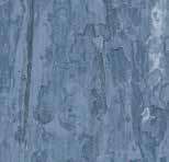 Tarkett - iQ Optima Acoust. Rouleau 3.15mm 847 ||21171847 - Ceramed