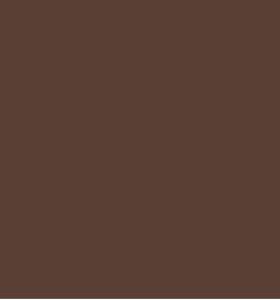 Tarkett - Vinyl Stair Treads #76 Cinnamon nez rond Safe-T-Rib avec Sans Insert 4'