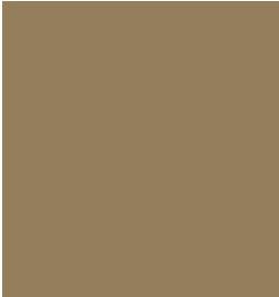 Tarkett - Nez Ca. Vi 3-3/16 X 1-7/16 X 1/4 #45