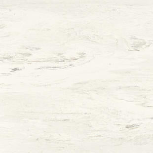 Tarkett - Organics - #RH4 Dolomite - Tuiles de 12" x 24"