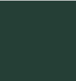 Tarkett - Plinthe en caoutchouc Duracove Thermoplastic Rubber 1/8" (Type TP) TOE Duracove #86 Hunter Green - 1/8" (3 mm) x 6" x 4'