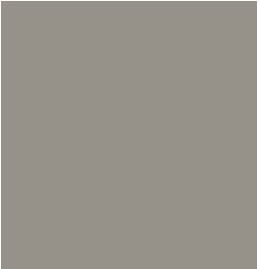 Tarkett - Plinthe Percep. Royale 4-1/4 X120' #32
