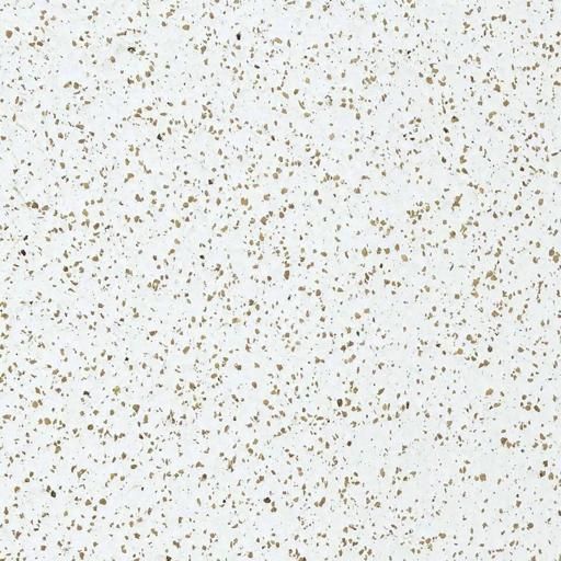 Tarkett - Tuile Caout Corktones 24 X24 X .125 08 ||401433053 - Ceramed