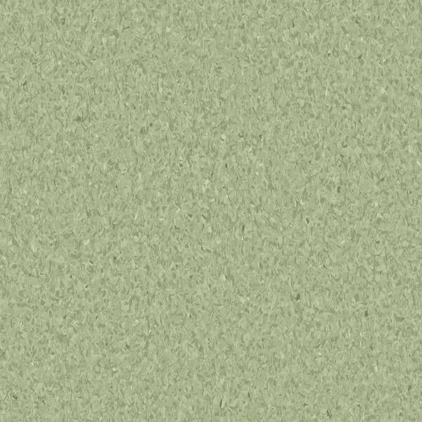 Tarkett - Tuile de vinyle homogène iQ Granit Olive 12" x 12"
