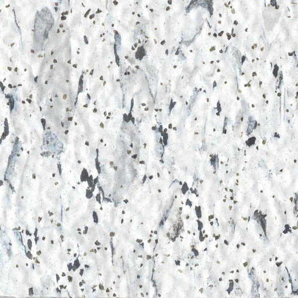 Tarkett - Tuile VCT II Twilight SR 12" x 12"