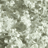 Torginol - Flocons pour epoxy MicaFlakes Micro M1010 Silver 10 lb 8-20 mailles