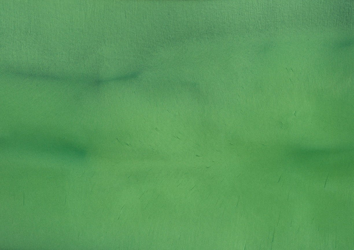 Torginol - Pigment métallique pour époxy Avocado P-1520 4 oz