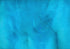 Torginol - Pigment métallique pour époxy Caribbean P-1610 4 oz