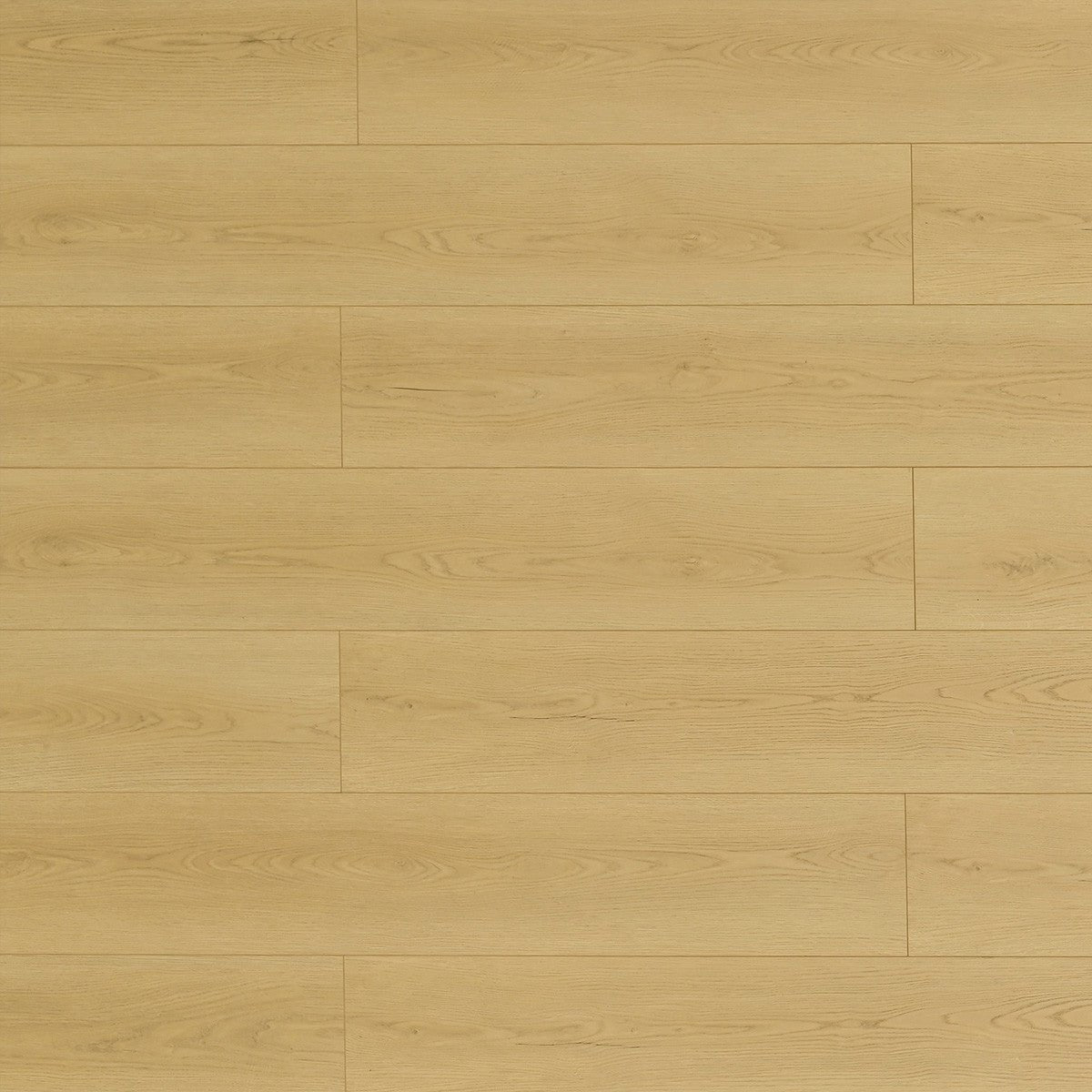 Toucan - Plancher flottant TF8107 - Muscatine / 9-3/8" x 59-13/16" / 8.1 mm - Ceramed